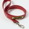 AMV DOGS Hundeleine Artikelnummer: LAISSECHIENH26