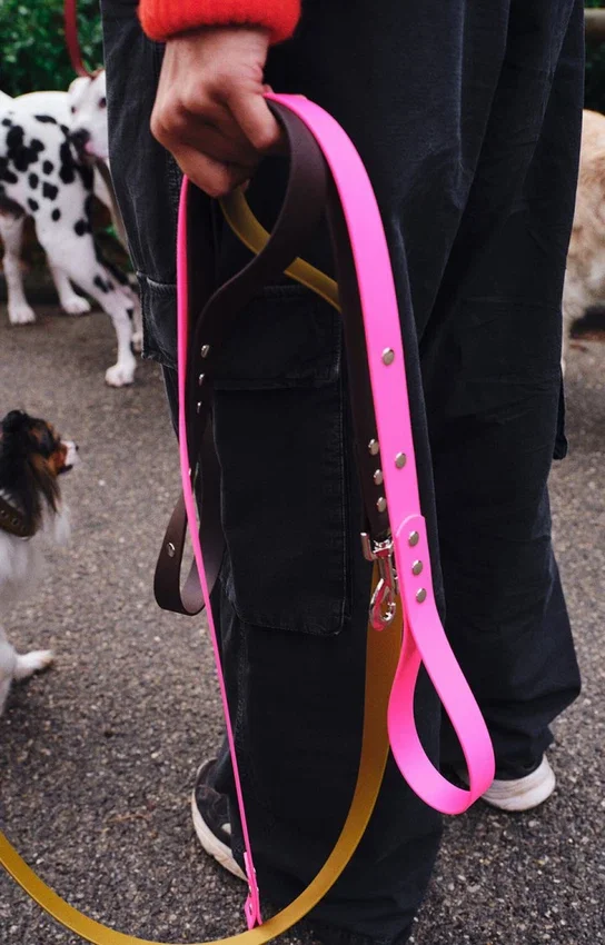AMV DOGS Hundeleine Artikelnummer: LAISSECHIENH26