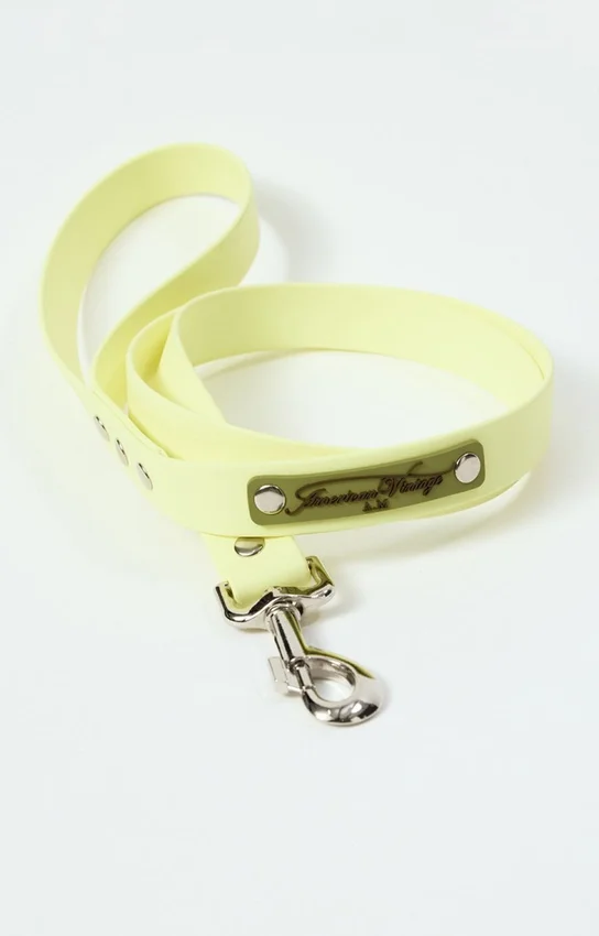 AMV DOGS Hundeleine Artikelnummer: LAISSECHIENH26