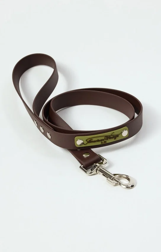AMV DOGS Hundeleine Artikelnummer: LAISSECHIENH26
