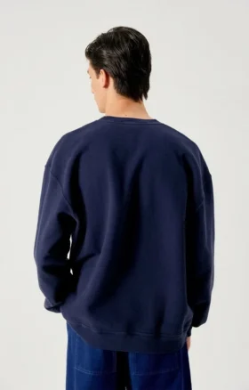 Herren-Sweatshirt Plizzy Artikelnummer: MPLI03BH26