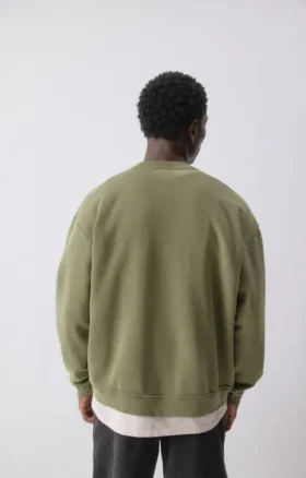 Herren-Sweatshirt Plizzy Artikelnummer: MPLI03BH26