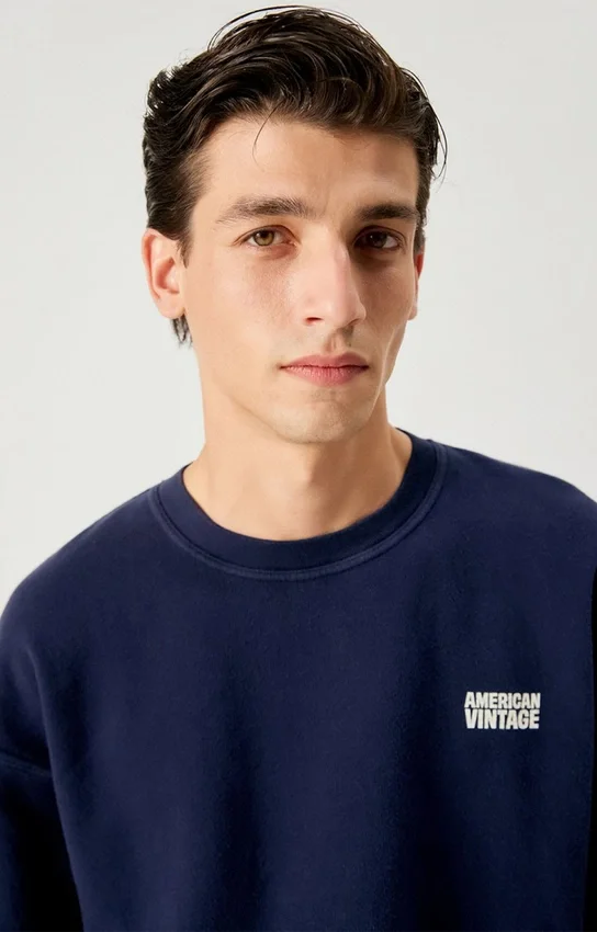 Herren-Sweatshirt Plizzy Artikelnummer: MPLI03BH26