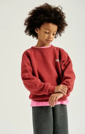 Kinder-Sweatshirt Izubird Artikelnummer: KIZU03BH26
