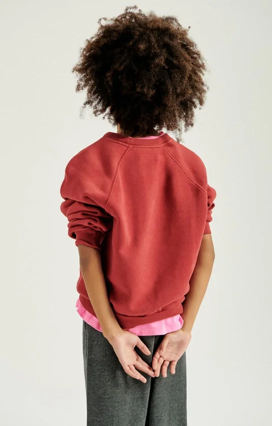 Kinder-Sweatshirt Izubird Artikelnummer: KIZU03BH26