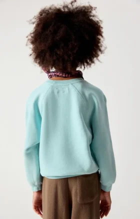 Kinder-Sweatshirt Izubird Artikelnummer: KIZU03BH26