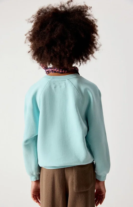 Kinder-Sweatshirt Izubird Artikelnummer: KIZU03BH26