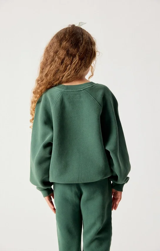 Kinder-Sweatshirt Izubird Artikelnummer: KIZU03BH26