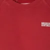 Kinder-Sweatshirt Izubird Artikelnummer: KIZU03BH26